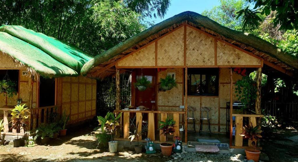 ألامينوس Traditional Filipino Transient House And Huts Near 100 Islands Wharf المظهر الخارجي الصورة