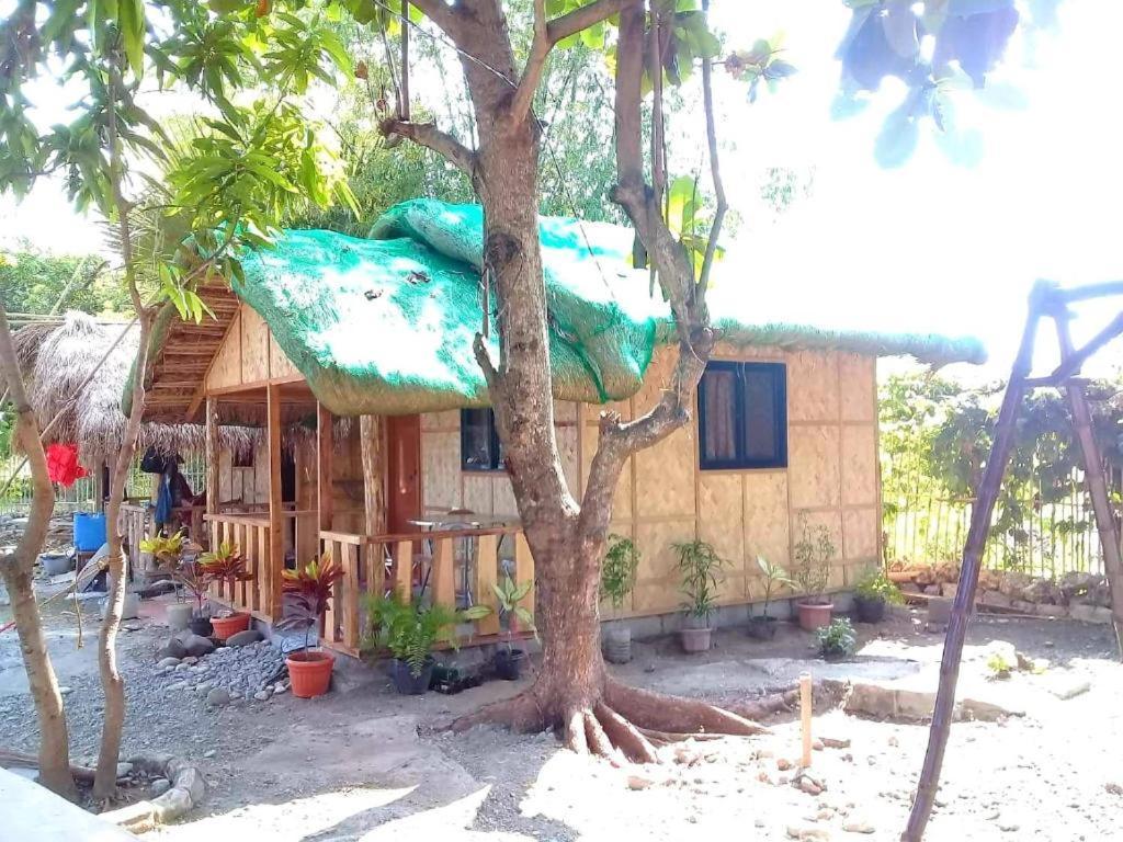 ألامينوس Traditional Filipino Transient House And Huts Near 100 Islands Wharf المظهر الخارجي الصورة