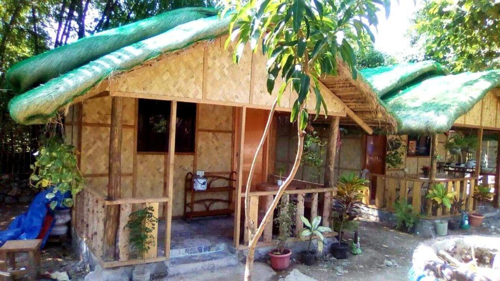ألامينوس Traditional Filipino Transient House And Huts Near 100 Islands Wharf المظهر الخارجي الصورة